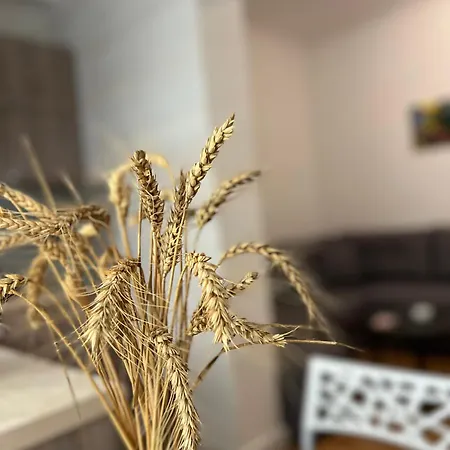 Apartman Tirana Leasing&rentals