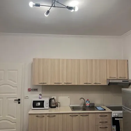 Tirana Leasing&rentals Selita e Vogel